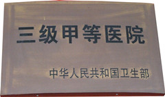 三级甲等医院
