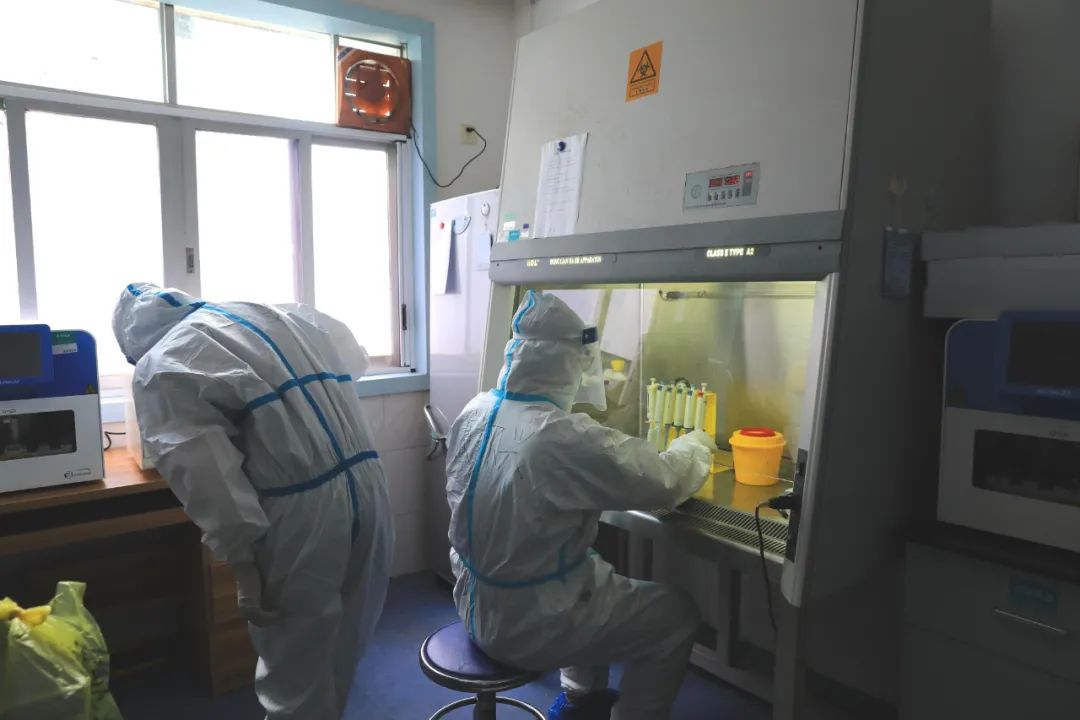 Let’s Unveil the Nucleic Acid Test Lab 