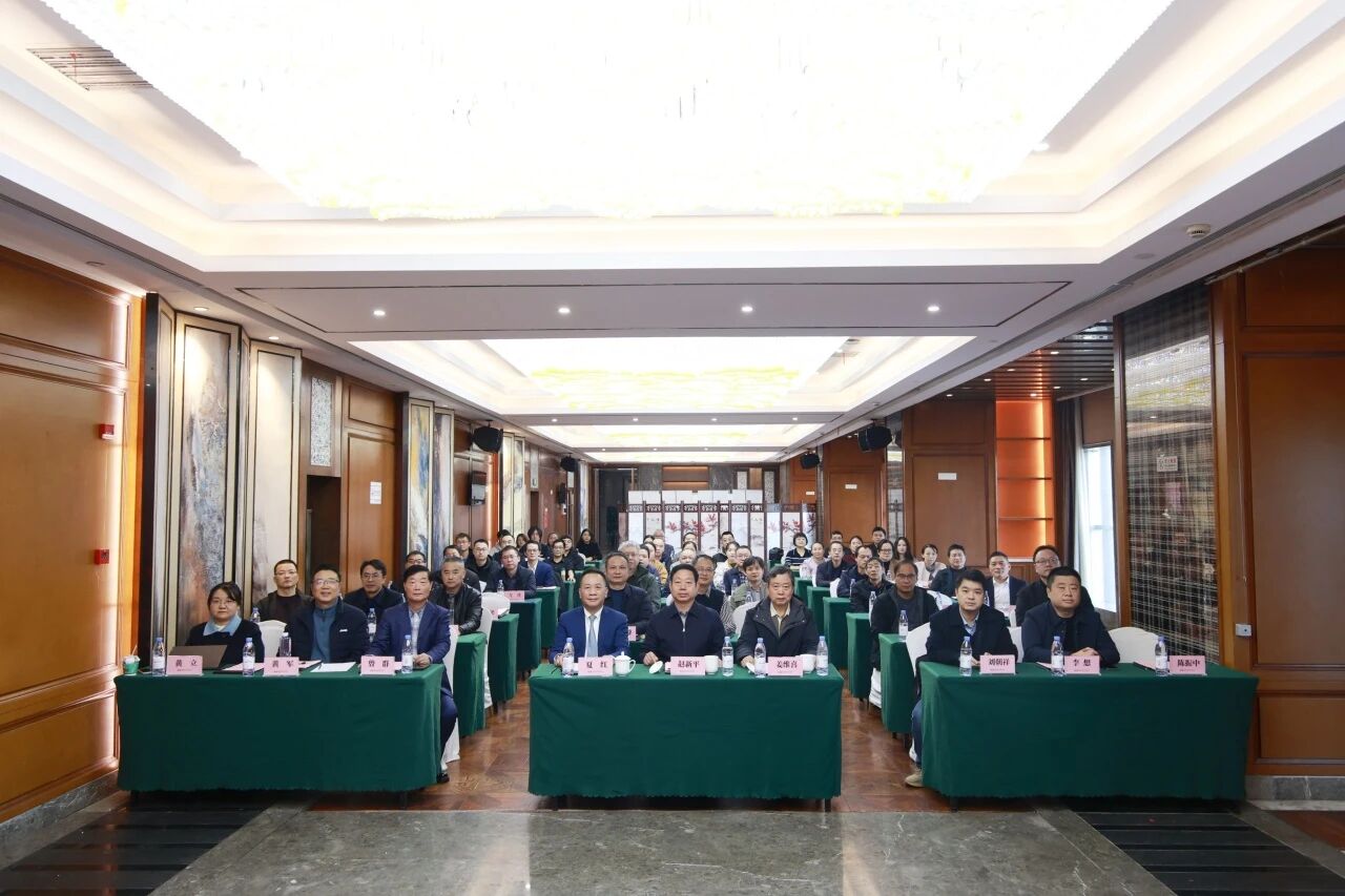 莲城医者聚首，三会合一赋能！